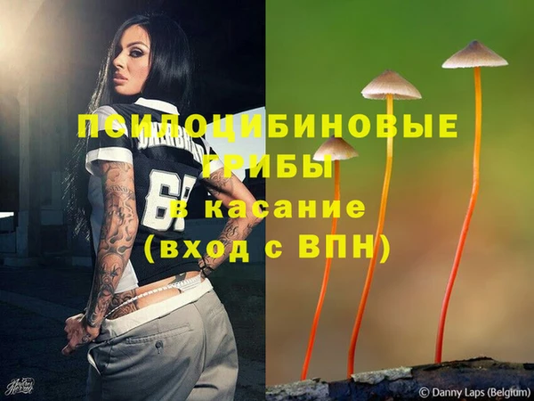 спайс Алексин