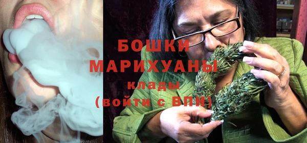 ГАЛЛЮЦИНОГЕННЫЕ ГРИБЫ Алзамай