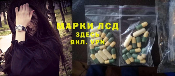 ГАЛЛЮЦИНОГЕННЫЕ ГРИБЫ Алзамай